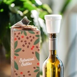 Kit De Plantation De Caféier En Bouteille