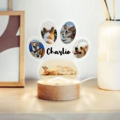 Lampe LED Personnalisée Patte