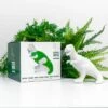 Dinosaure Chia -Cadeau Personnalisé Soldes chia dino 1