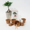 Kit Grow It - Arbre Bonsaï -Cadeau Personnalisé Soldes growbo grow it bonsai b ume 1
