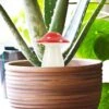 Distributeur D’eau Champignon -Cadeau Personnalisé Soldes self watering mushroom planter dispenser lifestyle v1 small