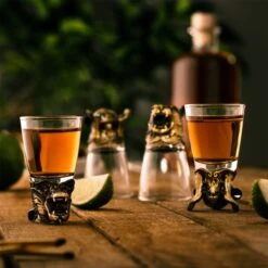 Set De 4 Verres à Shot Wild Spirits